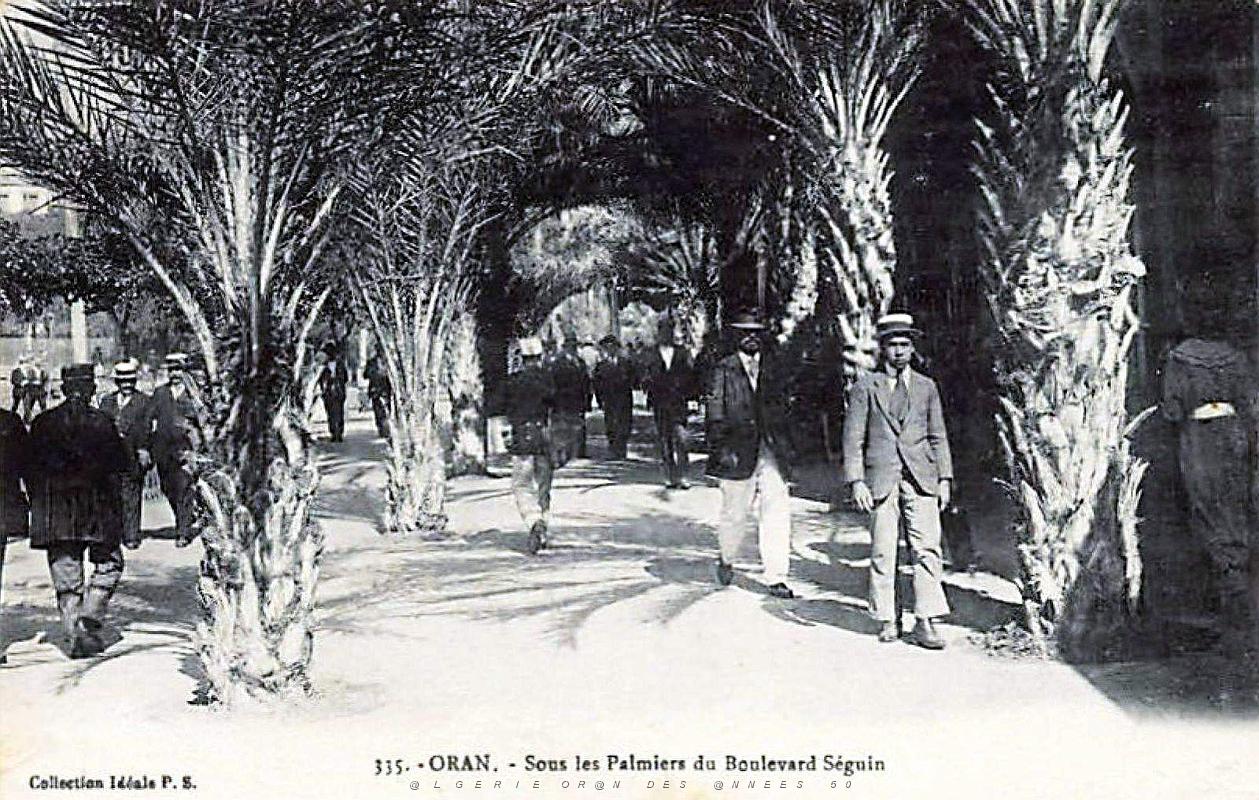 Oran - Boulevard Seguin - Sous les Palmiers.jpg